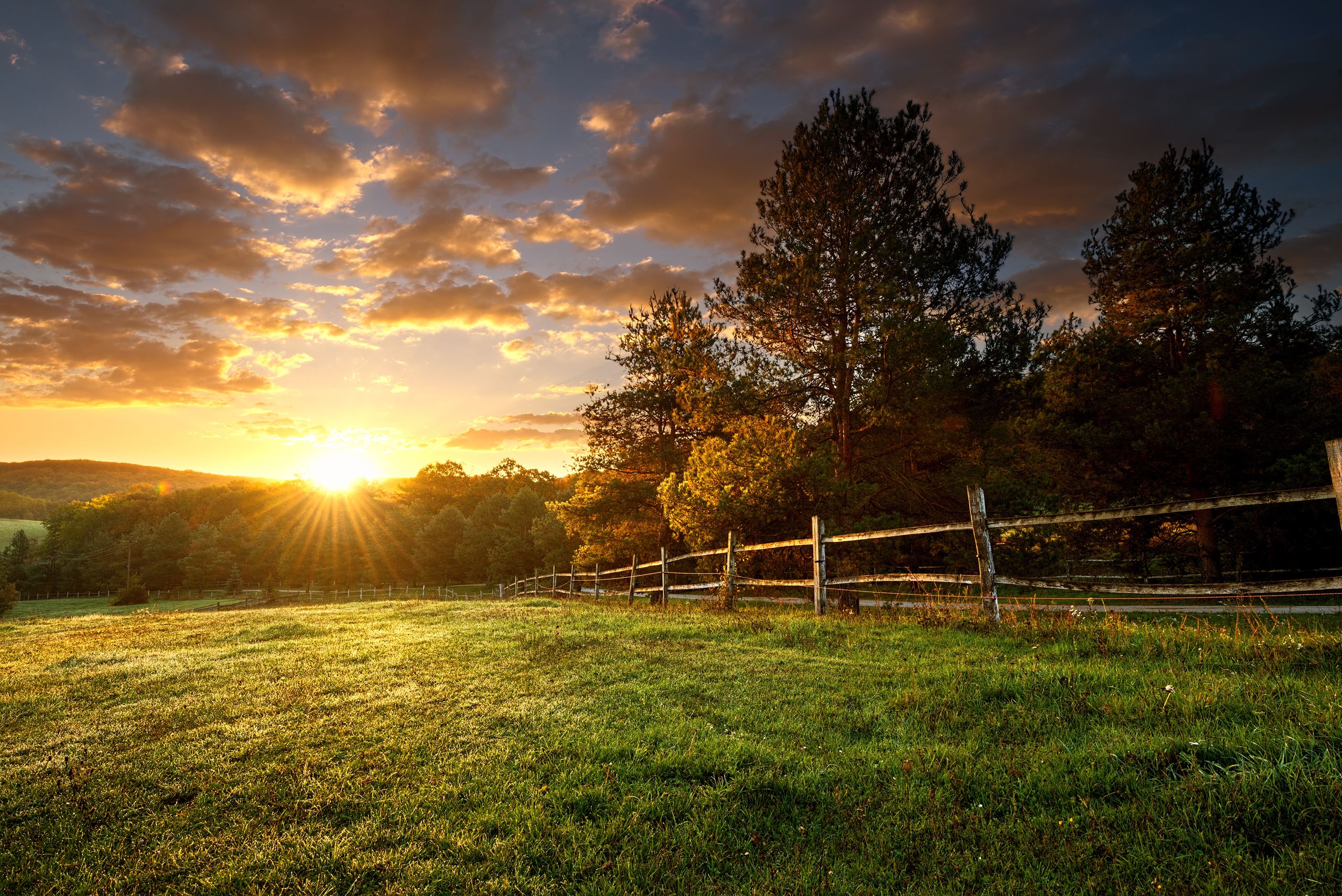 Sunset over a small forest and a fence